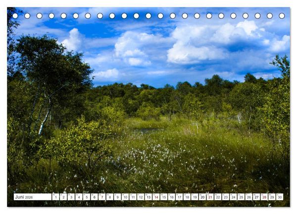 Produktbild: Osterholz-Scharmbeck, Natur-Impressionen aus dem Teufelsmoor (Tischkalender 2026 DIN A5 quer), CALVENDO Monatskalender
