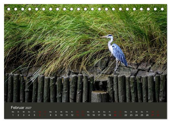 Produktbild: Reiher in der Elbmarsch (Tischkalender 2027 DIN A5 quer), CALVENDO Monatskalender