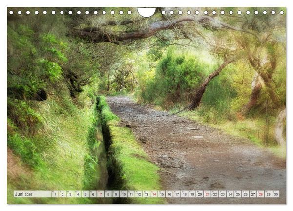 Produktbild: Madeira - eine Rundreise (Wandkalender 2026 DIN A4 quer), CALVENDO Monatskalender