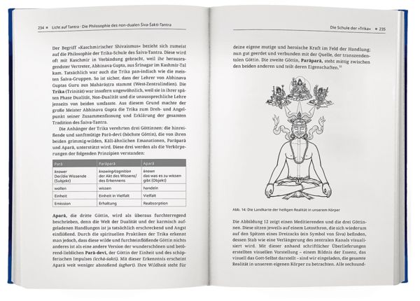 Produktbild: Licht auf Tantra