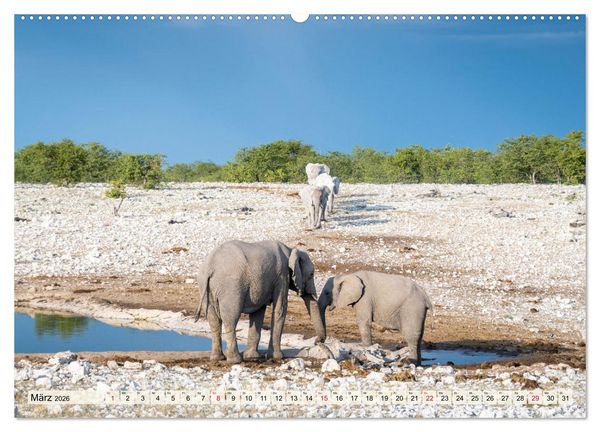 Produktbild: Elefanten - Sanfte Riesen Afrikas (hochwertiger Premium Wandkalender 2026 DIN A2 quer), Kunstdruck in Hochglanz