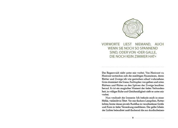 Kerngesund mit der Kraft des Waldes