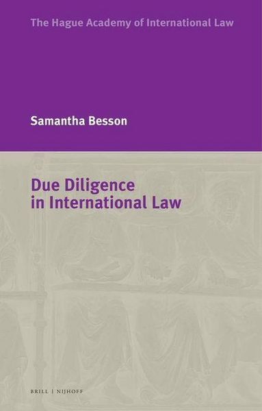 Produktbild: Due Diligence in International Law