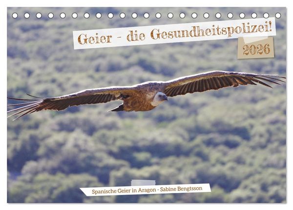 Produktbild: Geier - die Gesundheitspolizei! (Tischkalender 2026 DIN A5 quer), CALVENDO Monatskalender