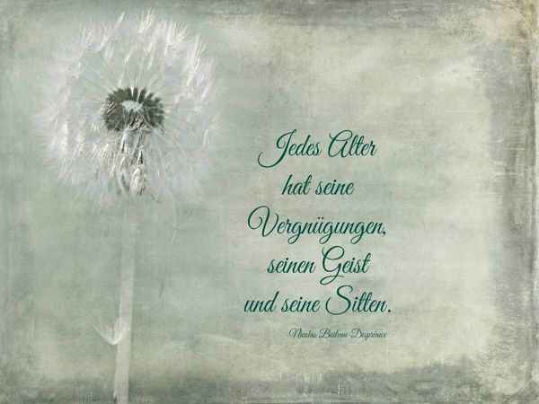 Produktbild: CALVENDO Puzzle Jedes Alter hat seine Reize | 1000 Teile Lege-Gr&ouml;&szlig;e 64x48cm Foto-Puzzle f&uuml;r gl&uuml;ckliche Stunden