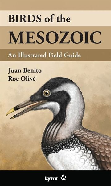 Produktbild: Birds of the Mesozoic