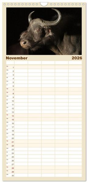 Produktbild: Familienplaner 2026 - S&uuml;dafrika wunderbare Tierwelt mit 5 Spalten (Wandkalender, 21 x 45 cm) CALVENDO
