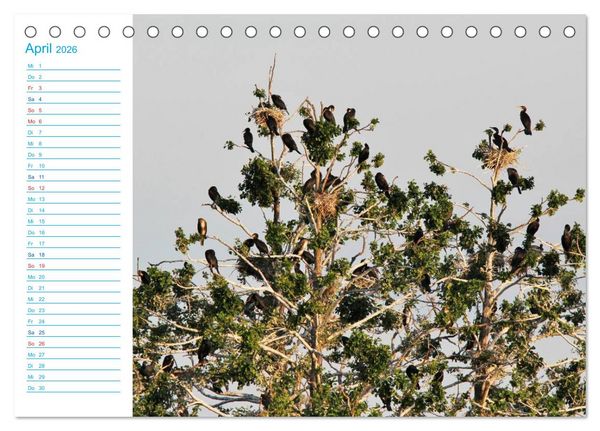 Produktbild: Urlaubsparadies Scharm&uuml;tzelsee (Tischkalender 2026 DIN A5 quer), CALVENDO Monatskalender
