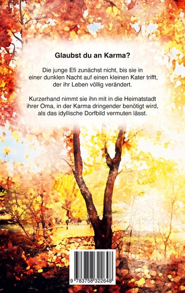 Produktbild: Ein Kater namens Karma