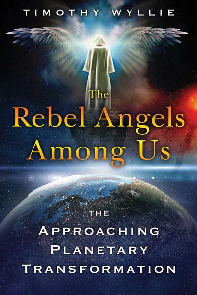 Produktbild: The Rebel Angels among Us
