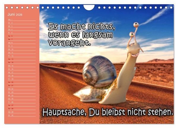 Produktbild: Tierische Toons (Wandkalender 2026 DIN A4 quer), CALVENDO Monatskalender