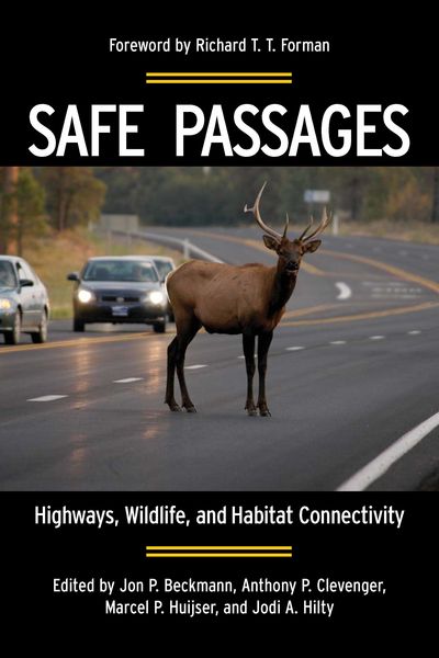 Produktbild: Safe Passages