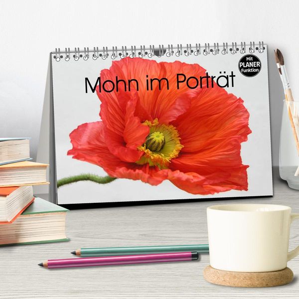 'Mohn im Porträt (Tischkalender 2025 DIN A5 quer), CALVENDO 