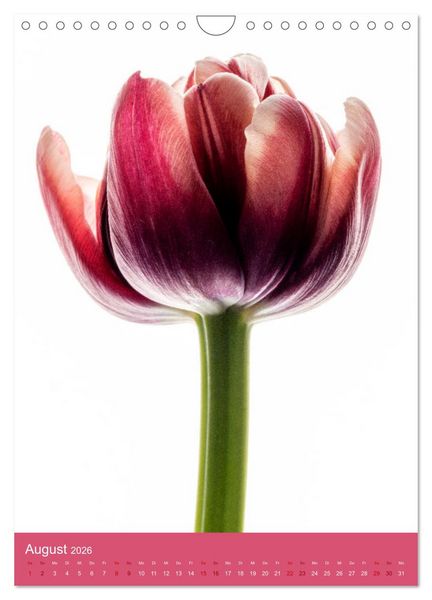 Produktbild: Nat&uuml;rlich Blumen. (Wandkalender 2026 DIN A4 hoch), CALVENDO Monatskalender
