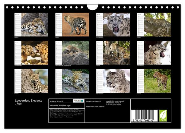 Produktbild: Leoparden. Elegante J&auml;ger (Wandkalender 2026 DIN A4 quer), CALVENDO Monatskalender