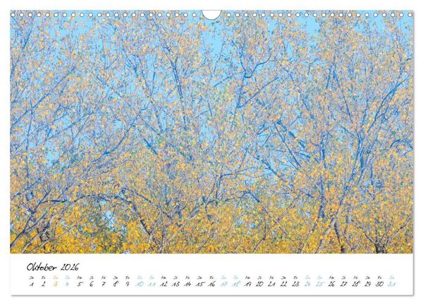 Produktbild: In der Welt der B&auml;ume (Wandkalender 2026 DIN A3 quer), CALVENDO Monatskalender