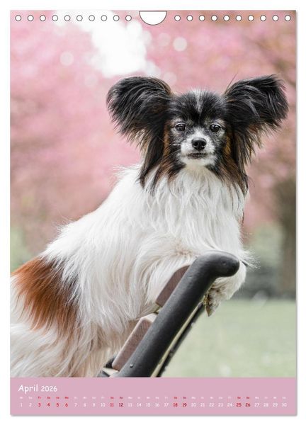 Produktbild: Flora Canidae - der Hunde-Bl&uuml;hpflanzen-Kalender (Wandkalender 2026 DIN A4 hoch), CALVENDO Monatskalender