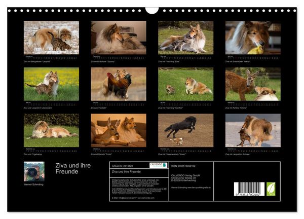 Produktbild: Ziva und ihre Freunde (Wandkalender 2026 DIN A3 quer), CALVENDO Monatskalender