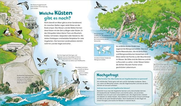 Das Meer / Was ist was junior Bd. 17