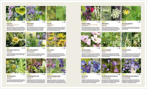 Produktbild: Mein Artenretter Garten