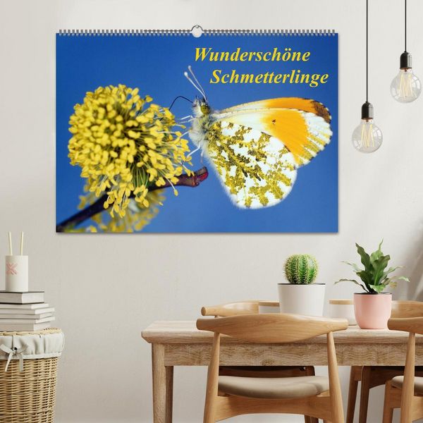 Produktbild: Wundersch&ouml;ne Schmetterlinge (Wandkalender 2026 DIN A2 quer), CALVENDO Monatskalender