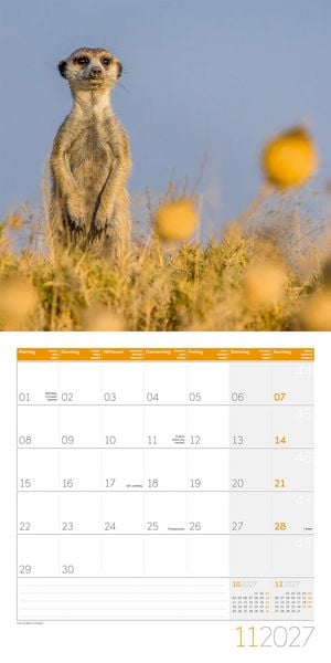 Produktbild: Erdm&auml;nnchen Kalender 2027 - 30x30 - Art12