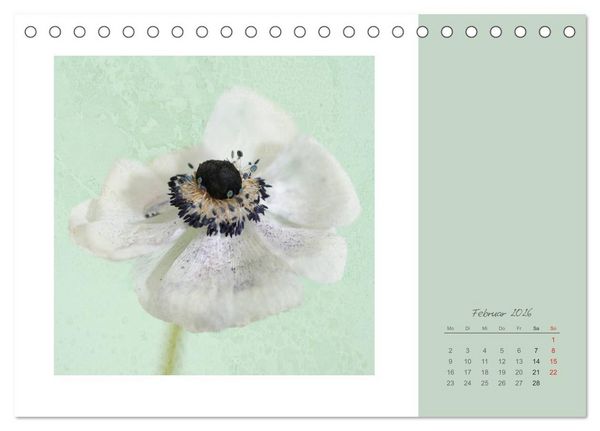 Produktbild: Bl&uuml;tentr&auml;ume (Tischkalender 2026 DIN A5 quer), CALVENDO Monatskalender