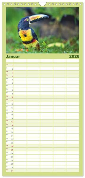 Produktbild: Familienplaner 2026 - Costa Ricas gefiederte Pracht mit 5 Spalten (Wandkalender, 21 x 45 cm) CALVENDO