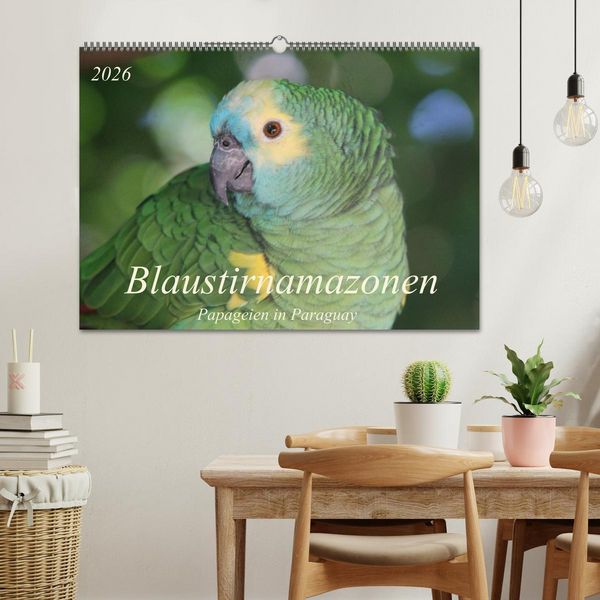 Produktbild: Blaustirnamazonen - Papageien in Paraguay (Wandkalender 2026 DIN A2 quer), CALVENDO Monatskalender