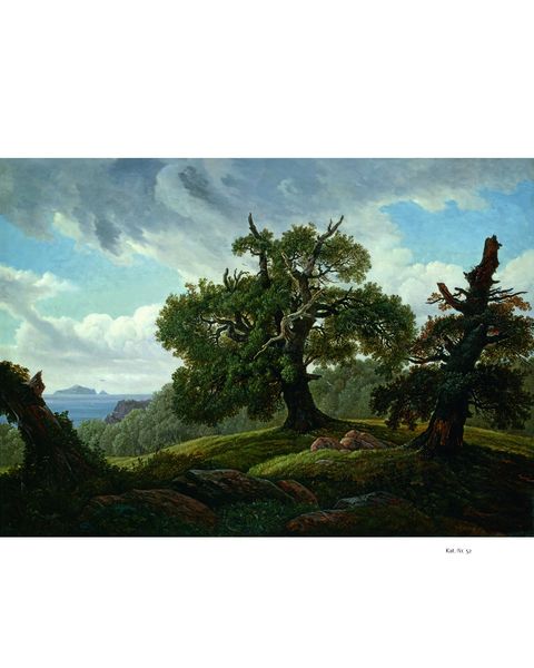 Produktbild: Carl Gustav Carus