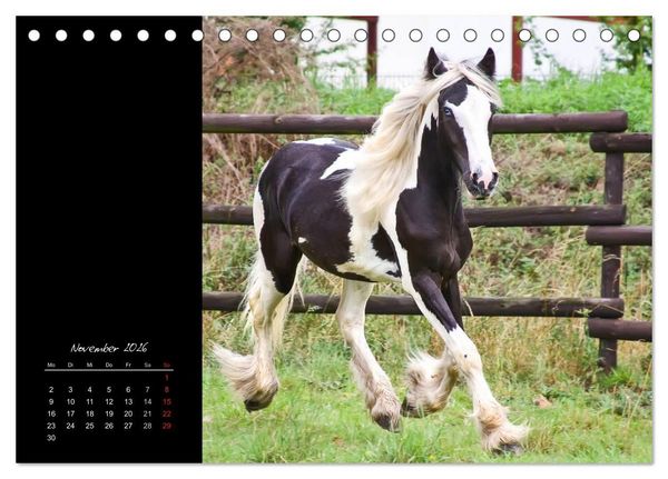 Produktbild: Irish Tinker (Tischkalender 2026 DIN A5 quer), CALVENDO Monatskalender
