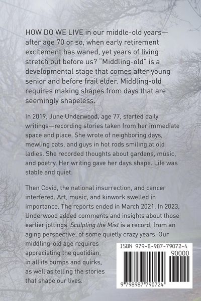 Produktbild: Sculpting the Mist