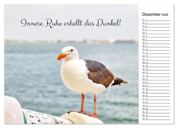 Produktbild: Lebensweisheiten der M&ouml;we - Im Flug des Lebens (Wandkalender 2026 DIN A3 quer), CALVENDO Monatskalender