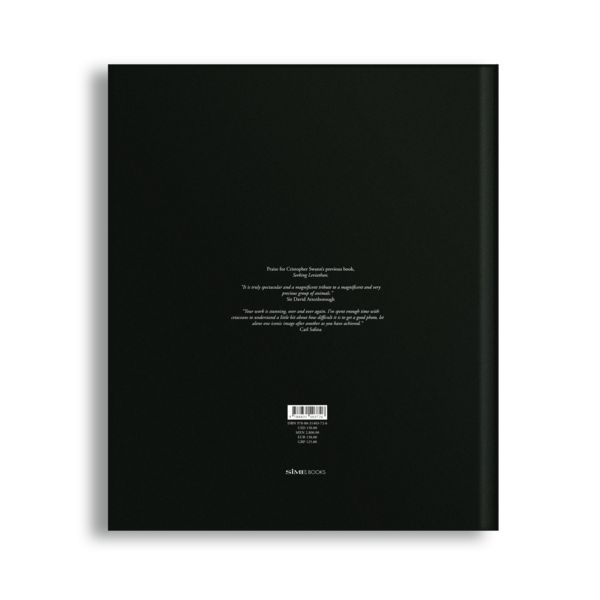 Produktbild: The Sea of Dreams