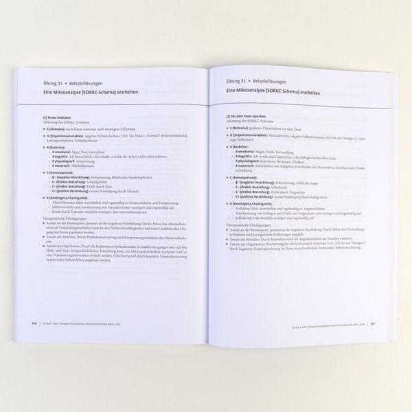 Produktbild: Therapie-Kompetenzen Verhaltenstherapie