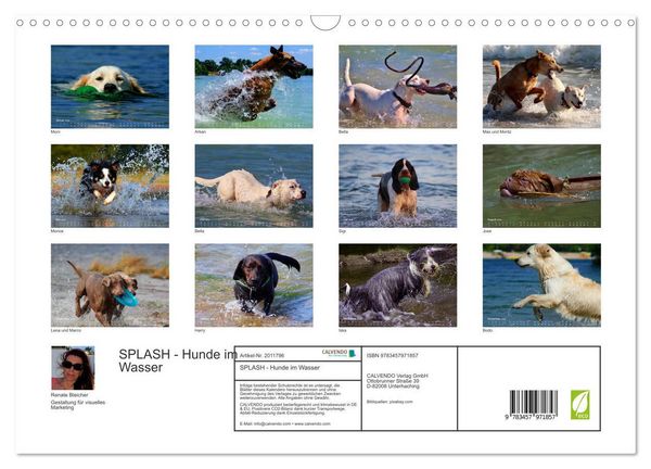 Produktbild: SPLASH - Hunde im Wasser (Wandkalender 2026 DIN A3 quer), CALVENDO Monatskalender