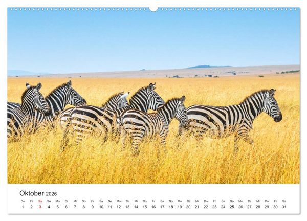 Produktbild: Safari durch Afrika (hochwertiger Premium Wandkalender 2026 DIN A2 quer), Kunstdruck in Hochglanz