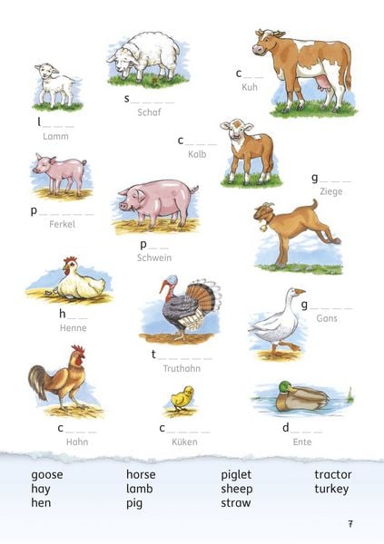 Produktbild: Mein buntes Vokabelheft Englisch 3./4. Klasse