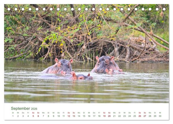 Produktbild: Tierwelten UGANDA (Tischkalender 2026 DIN A5 quer), CALVENDO Monatskalender