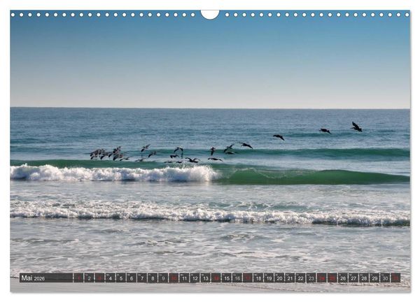 Produktbild: Ich will Meer ! (Wandkalender 2026 DIN A3 quer), CALVENDO Monatskalender