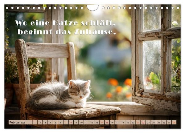Produktbild: Miau-velous Pfotenpoesie (Wandkalender 2026 DIN A4 quer), CALVENDO Monatskalender