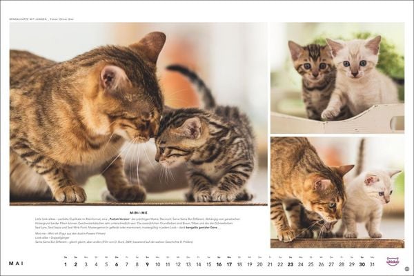Produktbild: Whiskas Katzenkalender 2027