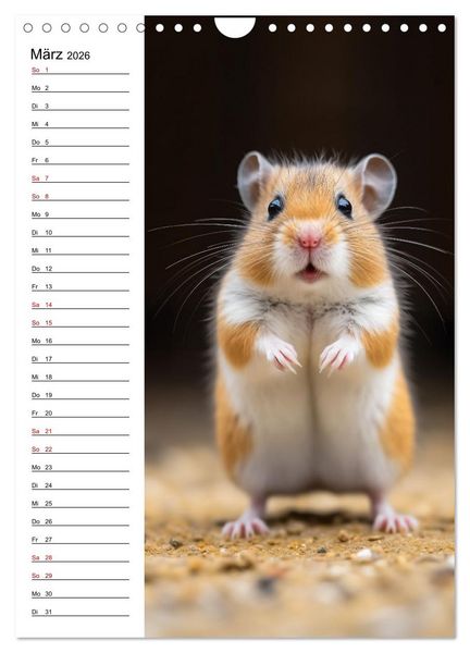 Produktbild: Ganz von vorn (Wandkalender 2026 DIN A4 hoch), CALVENDO Monatskalender