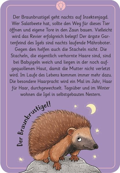 Produktbild: Expedition Natur 50 wundersame Tierr&auml;tsel