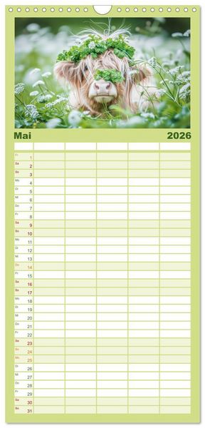 Produktbild: Familienplaner 2026 - Schottische Hochland Rinder mit 5 Spalten (Wandkalender, 21 x 45 cm) CALVENDO
