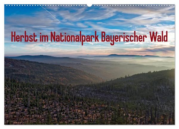 Herbst im Nationalpark Bayerischer Wald (Wandkalender 2026 DIN A2 quer), CALVENDO Monatskalender