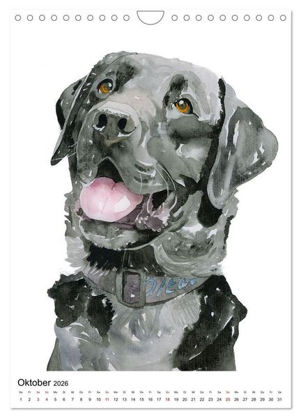 Produktbild: Hunde Portr&auml;ts in Aquarell (Wandkalender 2026 DIN A4 hoch), CALVENDO Monatskalender