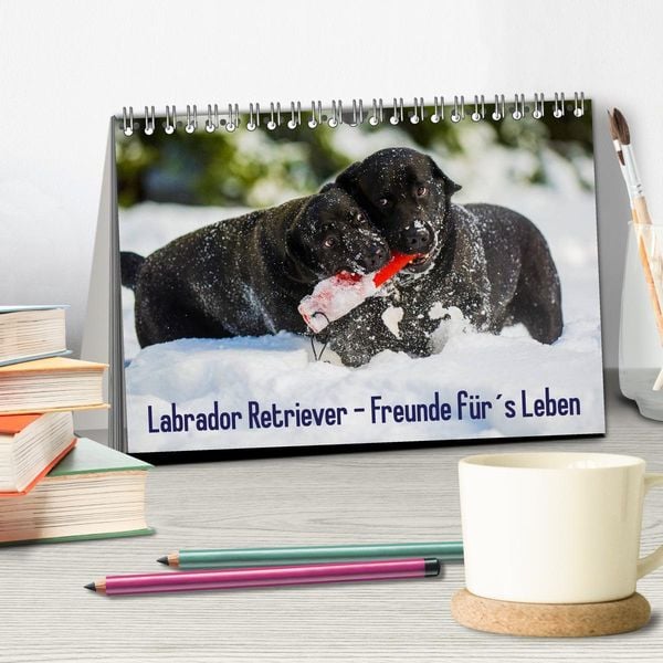 Produktbild: Labrador Retriever - Freunde f&uuml;r&acute;s Leben (Tischkalender 2026 DIN A5 quer), CALVENDO Monatskalender
