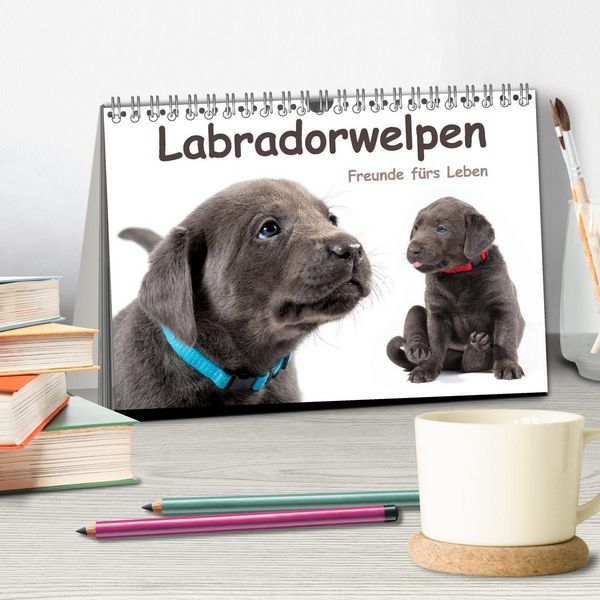 Produktbild: Labradorwelpen - Freunde f&uuml;rs Leben (Tischkalender 2026 DIN A5 quer), CALVENDO Monatskalender