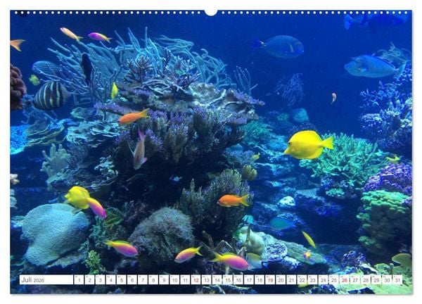 Produktbild: Malediven - Traumstr&auml;nde im Paradies (hochwertiger Premium Wandkalender 2026 DIN A2 quer), Kunstdruck in Hochglanz